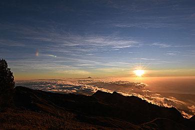 传SE成立DEI团队审查旗下游戏角色：蒂法将变丑？